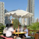 광림종합정비 | 대구 5월 가볼 곳, 샤스타데이지 명소 이현공원 꽃구경 후기