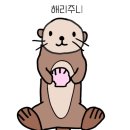 오대오칼국수 이미지