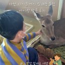 에이.비.지 | 다산 테이블에이 남양주 실내동물원 동물 좋아하는 아이랑 갈만한 곳