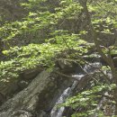 금평로 | (강원도/강릉) 칠성산 갔다가 포기하고 괘방산으로 선회한 하루, 법왕사 계곡 산책까지,칠성산 다시는...