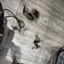 멋쟁이 헤어 | 코엑스 미용실 추천 준오헤어 코엑스도심공항점 유소영디자이너 펌 후기