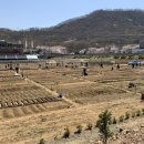 광명농장2 이미지