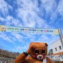 내리숲초등학교 이미지