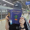 주간일기 13. 과일과 핸드드립 커피의 맛은 가격과 비례한다 (6/22~6/28)