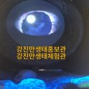 강진-47 | 강진관광지 강진만생태체험관 생태홍보관 강진 아이와 가볼만한 곳