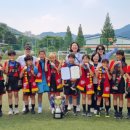 (학교)남강초 이미지