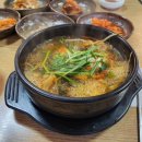 소피아그린 이미지