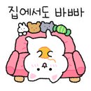 희희술집 이미지