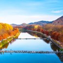 윤건우 | 담양 관방제림 가을 산책, 수령 400년 나무들이 만든 천연기념물 단풍길의 매력