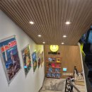 지브리 7 디즈니 영화 OST 콘서트 이미지