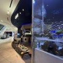 미디어피쉬 | 고양 스타필드 아쿠아 카페 후기 | 아이랑 가기 좋은 실내 카페 추천