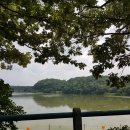 홍익돈까스 금릉점 이미지