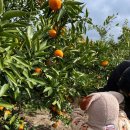 서광리-10 이미지