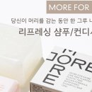 모레바 이미지