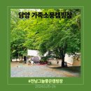 가족소풍캠핑장 | 전남그늘좋은캠핑장 - 담양 가족소풍캠핑장