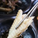 생선선생 이미지