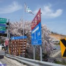 십리벚꽃길 이미지