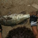 충주호 캠핑월드 이미지