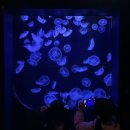 대영카정비 | 🇯🇵 오키나와 | DAY2 260307(토) 꽉찬 하루.