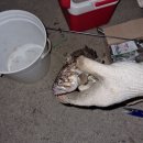 서교비치하우스 이미지