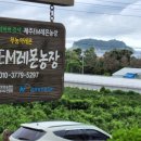 이섭농장 이미지