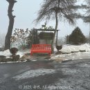 아침고요 | 가평 아이와 갈만한곳 아침고요동물원 먹이주기 체험 후기