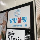 말랑블링 이미지