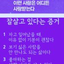 미스터류 Daum카페