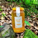 숲깊은 농장 이미지