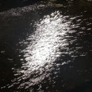 한천휴양림 오토캠핑장 이미지