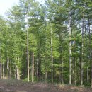 탁장사마을 이미지