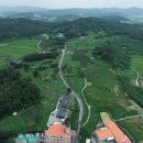 공설공원묘지 이미지