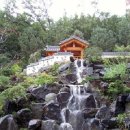 디자인 심원