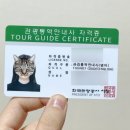 31140-14-37-60 | [공부] 비전공자 관광통역안내사 독학 합격 후기 (준비 과정 A to Z)