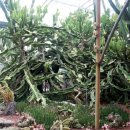 일출하우스 이미지