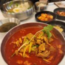 오로지생태한마리 이미지