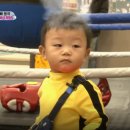 샌드백 이미지