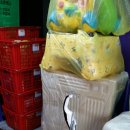 조은익스프레스 이미지