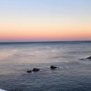 샵호텔/SHARP HOTEL 이미지