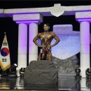 씨앗피트니스 이미지