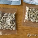 씨앗 이미지