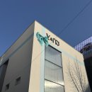 브이앤엠제이 피부과 ai메타스캔, 히트업써마지 1주차 내돈내산후기