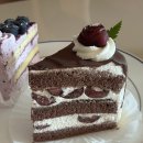 캣데이 | [고양/일산서구] 하피베이크데이 - 너무 맛있어서 해피캣이 될 것만 같아~.. 조각케이크 후기