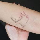 PET사랑 이미지