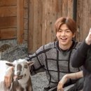 강고기