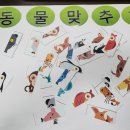 은빛동물병원 이미지