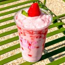 할리베어 이미지