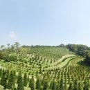 유토피아 이미지