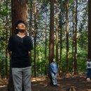 웰니스9 이미지