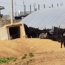 대복농장 이미지